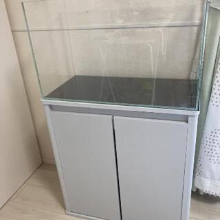 熱帯魚水槽　60センチレギュラー　台付き