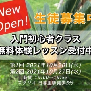 🌺無料体験レッスン🌺2021年11月新クラスオープン！！入門クラ...
