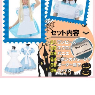 【ハロウィンなどに】アリス　コスプレ　6点セット【使用回数1回】...