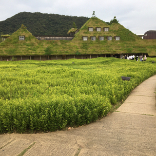 グル仲間