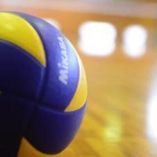 バレーやりまーす！10月24日🏐