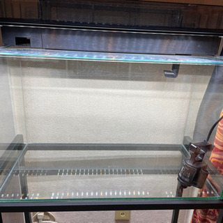 GEX 60cm その他の中古が安い！激安で譲ります・無料であげます