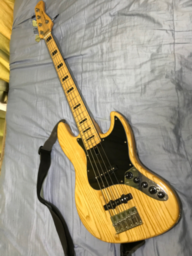 Sire V7 Vintage 5ST 専用ケースと新品5弦セット