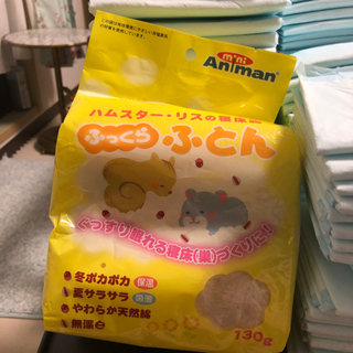小動物　寝床綿