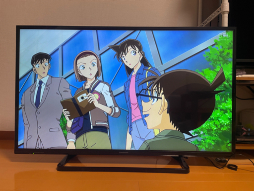 Panasonic  液晶TV 42型　TH-42C305
