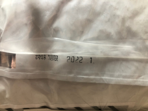 ウィッシュワイルドパピー 11kg ドッグフード大量 子犬成犬妊娠授乳 ブリーダー用