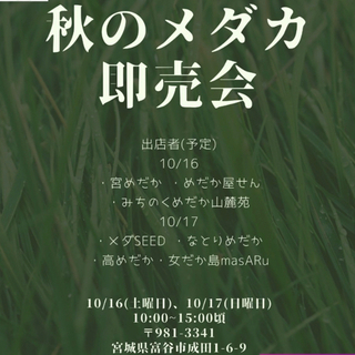 メダカ即売会　10月16日、17日(10時〜15時)あじわいの朝...