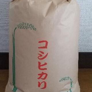 農家直売新米コシヒカリ 令和3年産10kg2600円❗️