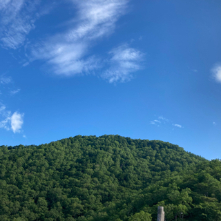 登山仲間(*´꒳`*)