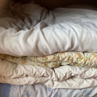 掛け布団　敷布団　枕　毛布の画像
