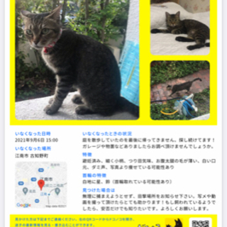 チラシを貼らせて頂けませんか？？
