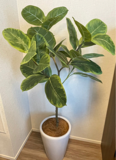 フェイクグリーン　グリーンフェイク