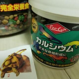 リクガメフード セット レップカルフード カルシウム リード の画像
