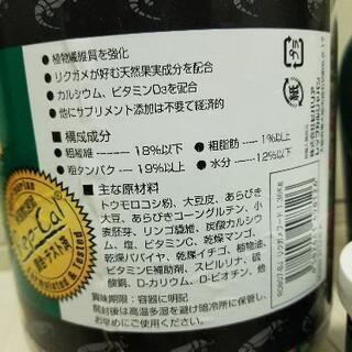 リクガメフード セット レップカルフード カルシウム リード の画像