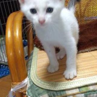 可愛い　男の子❤