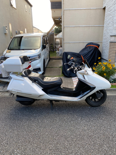 早いもの勝ち　フュージョン　MF02-230※※※※