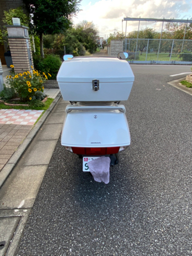 早いもの勝ち　フュージョン　MF02-230※※※※