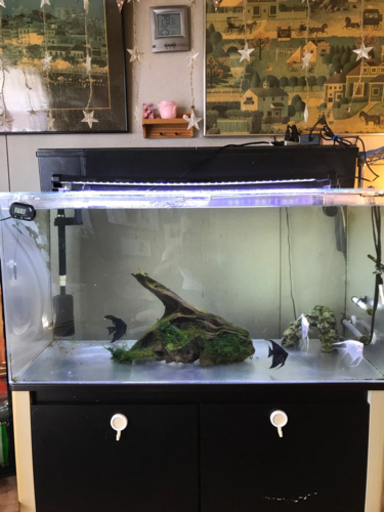 水槽セット　只今商談中