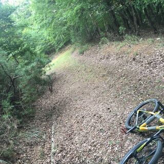 水曜日にＭＴＢ（マウンテンバイク）で一緒に走れる方を探してます - 友達