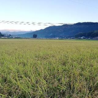 令和3年新米　森のくまさん　山つきの米は美味しいよ♪