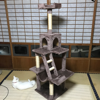 キャットタワー　お取引き中の画像