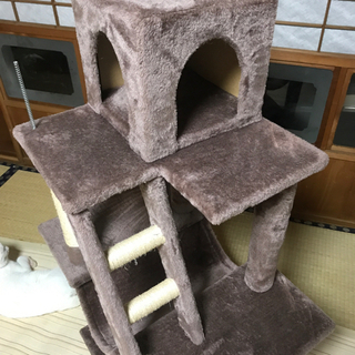 キャットタワー　お取引き中の画像