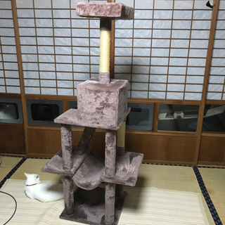 キャットタワー　お取引き中の画像