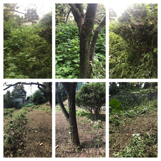 荒れた庭などの草刈り！！格安 - 津市