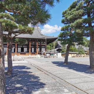 お寺でヨガをしよう！＠くろ谷さん〈腰痛・肩こり・座骨神経痛緩和〉の画像