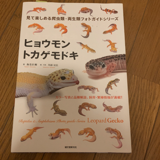 【美品】ヒョウモントカゲモドキ　飼育本
