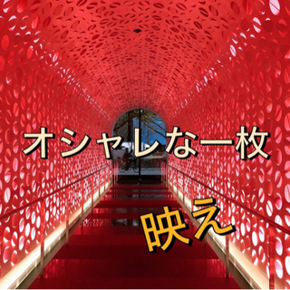 『充実🌸社会人オシャレ映えカメラ📷❣️✨』