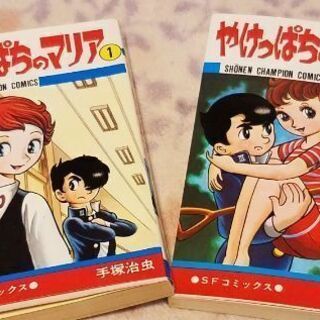 やけっぱちのマリア全2巻