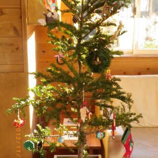 クリスマス　　ツリー　飾　オーニング　2点セットの画像