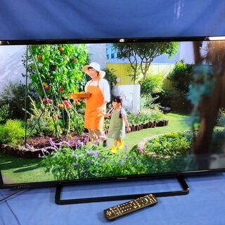 【動作保証あり】Panasonic VIERA 2016年 TH-43D305 43V型 液晶テレビ【管理KRT177】