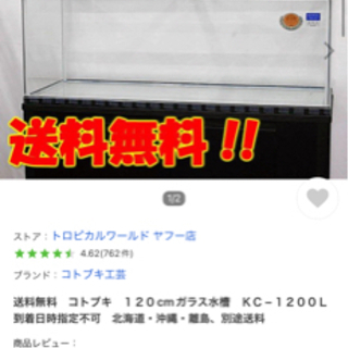 アロワナ飼育の中古が安い！激安で譲ります・無料であげます｜ジモティー