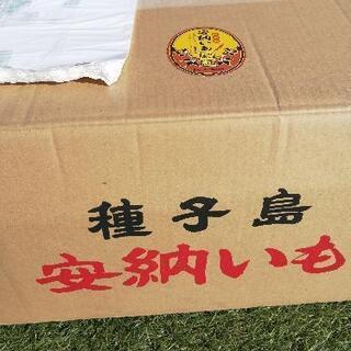種子島産安納芋！約1キロ！！