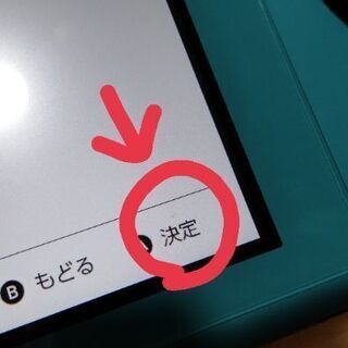 【早い順】Switchライト本体の画像