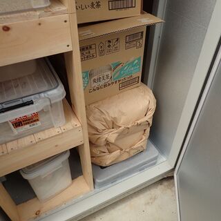 令和２年秋収穫の玄米３０㎏×２袋