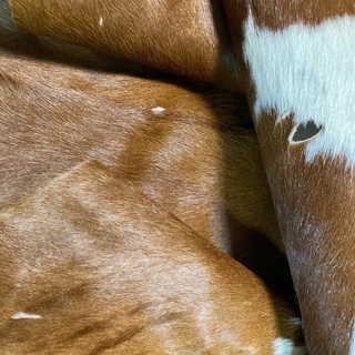 ビンテージカウラグ　天然牛革カーペットの画像