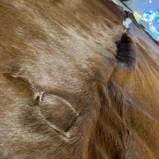 ビンテージカウラグ　天然牛革カーペットの画像