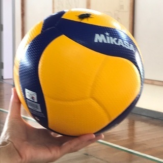 9人制バレーボールやりませんか？