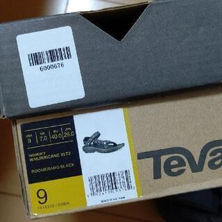 Tevaの画像