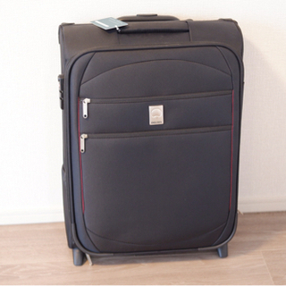 お値下げ！！DELSEY スーツケース　（布製小型/セット販売対応可）
