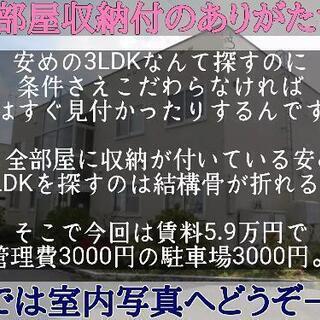 【全部屋収納付】激安フローリング3LDK‼️