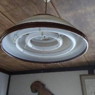 電気の笠と蛍光灯の画像