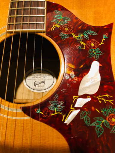 楽器 Gibson Dove