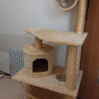 キャットタワーの画像