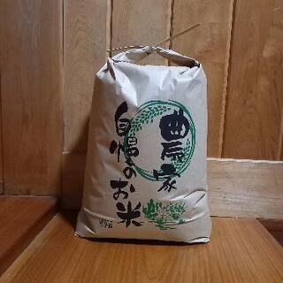 令和2年産コシヒカリ　精米済み10kg