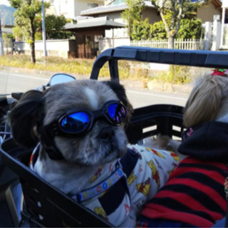 愛犬　バイクツーリング倶楽部　わんこ