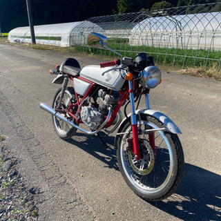 ドリーム50  綺麗です！